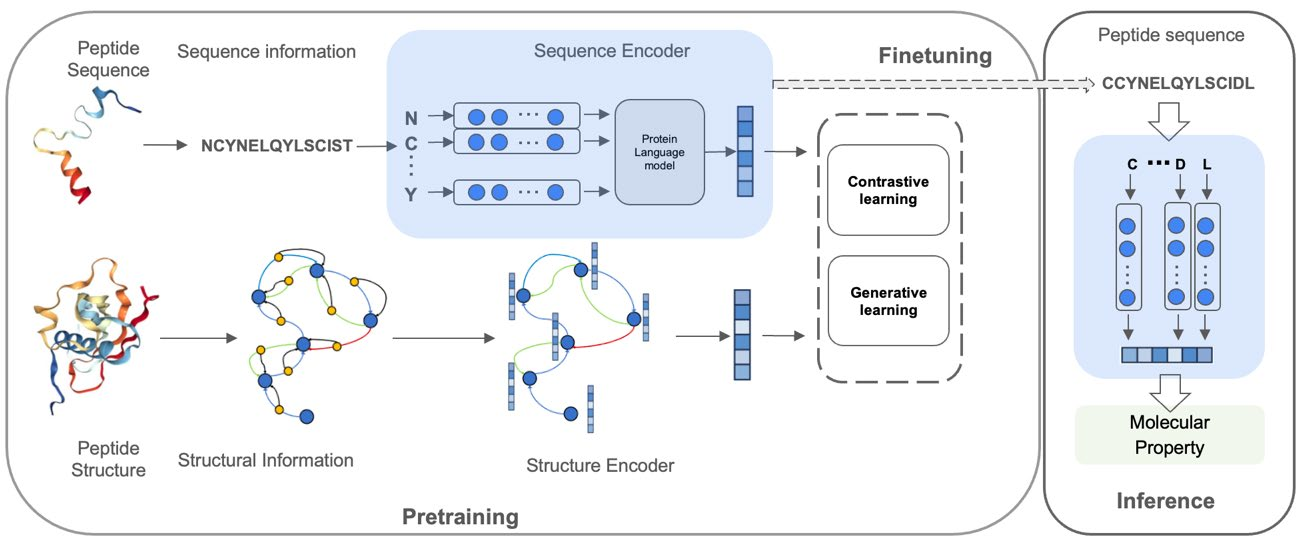 Zhang et al., PepHarmony, arXiv v1 (2024), Figure 1. Complete original, unchanged.