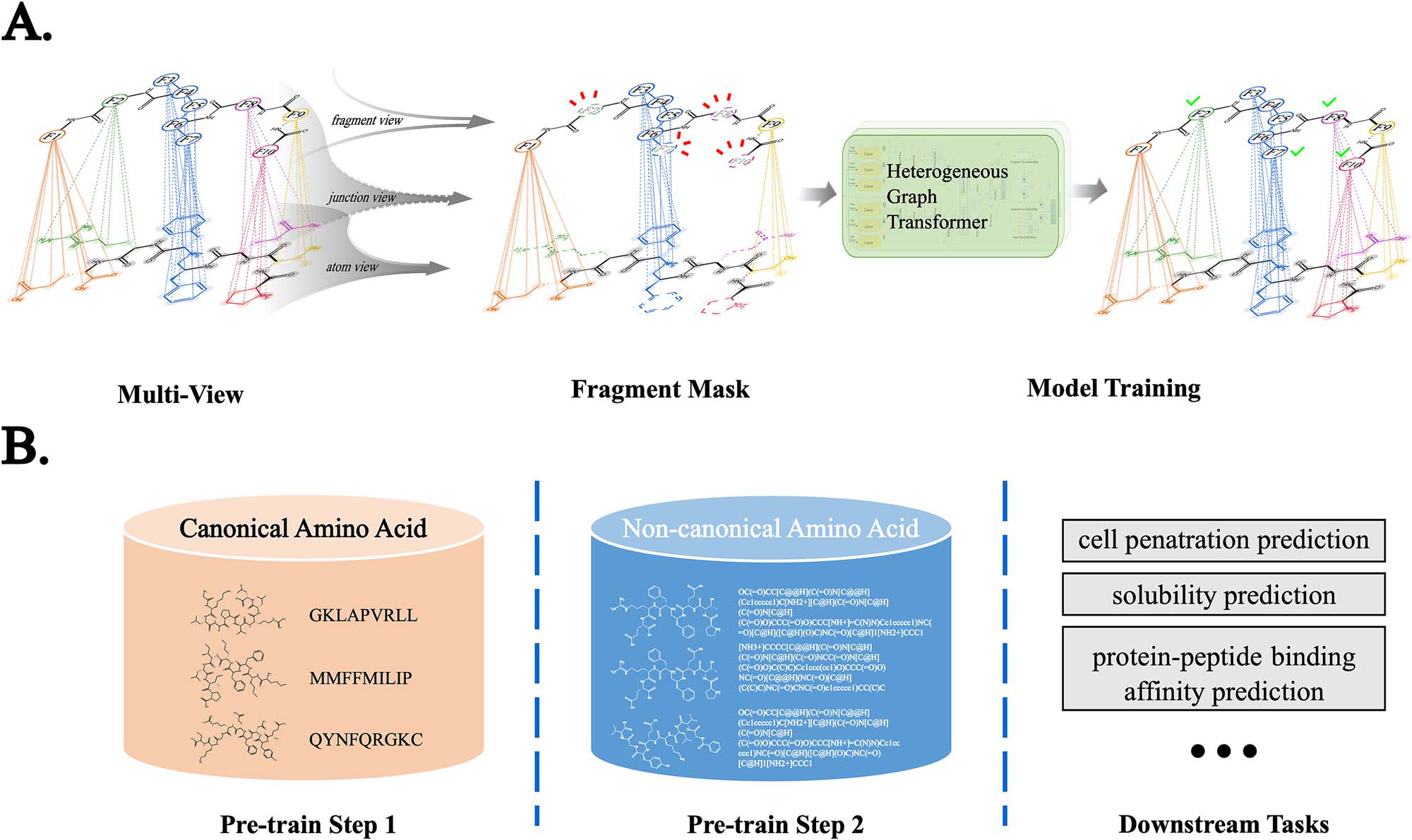 Original Figure 1, published PepLand (2025): peptide multi-view heterogeneous graph (A) and two-stage pre-training (B).